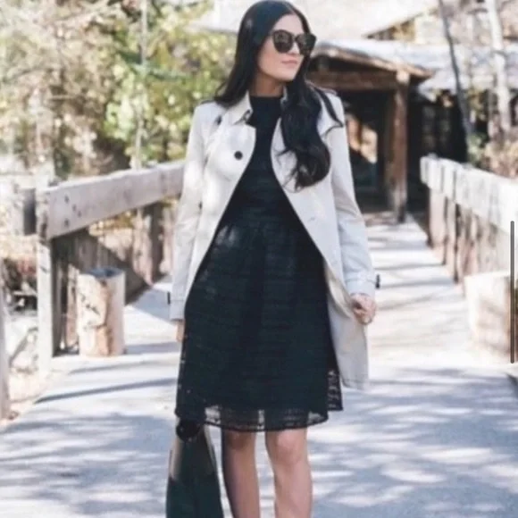 Rachel Parcell Anglaise L Black embroidered overlay fit & flare lined knee dress - Picture 16 of 16